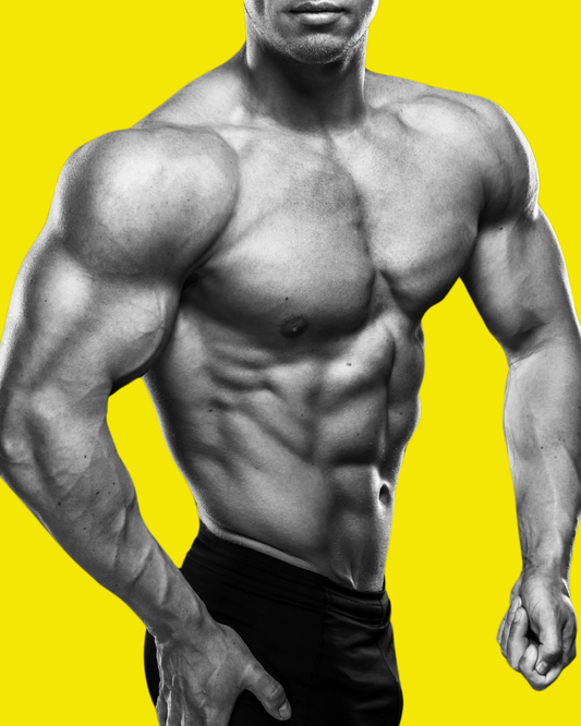 Dicas da PINATI para Ganhar Massa Magra